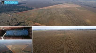HERTZOGVILLE DISTRICT: HIGH POTENTIAL WATER TABLE GROUND ON AUCTION OF 299 HA IN EXTENT