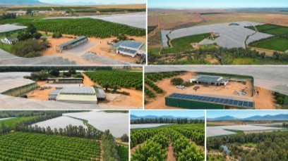 MORGAN CREEK OUDEMUUR (PTY) LTD (IN LIQUIDATION)